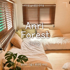 Anri forest #long stay #5people#rooftop#laundry